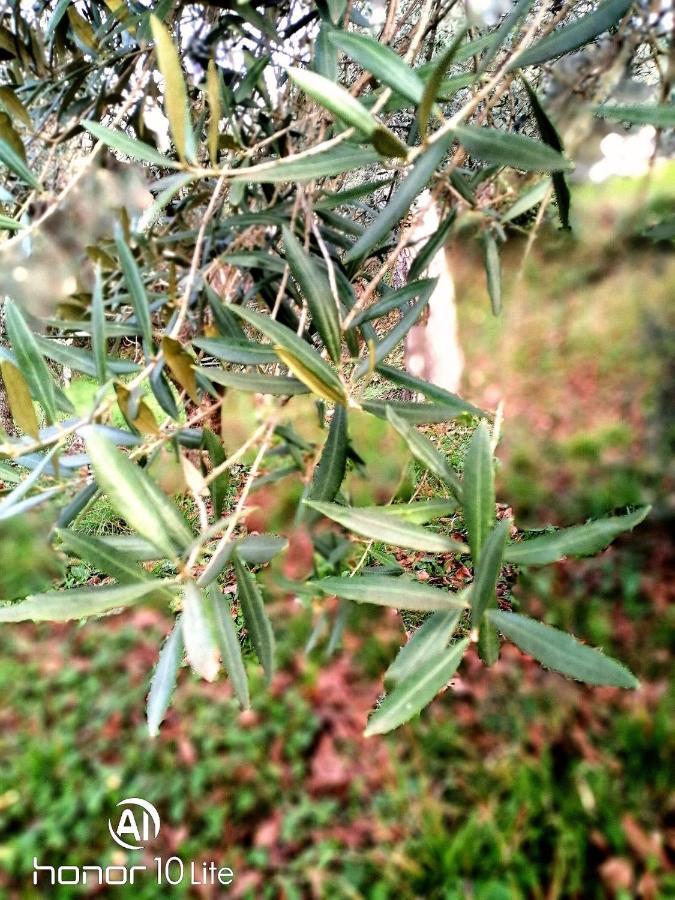 Appartamento Serenella Maenza Buitenkant foto